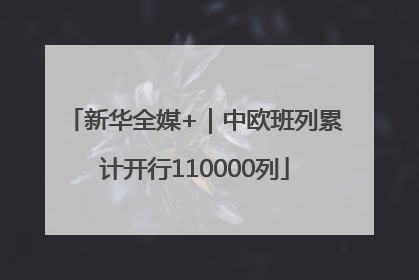 新华全媒+｜中欧班列累计开行110000列