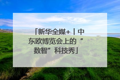 新华全媒+丨中东欧博览会上的“数智”科技秀