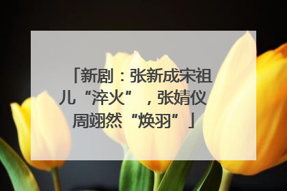 新剧：张新成宋祖儿“淬火”，张婧仪周翊然“焕羽”