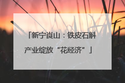 新宁崀山：铁皮石斛产业绽放“花经济”
