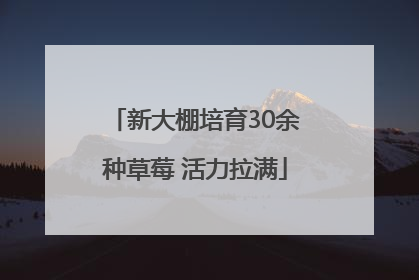 新大棚培育30余种草莓 活力拉满
