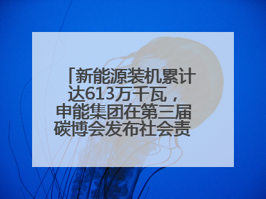 新能源装机累计达613万千瓦，申能集团在第三届碳博会发布社会责任报告