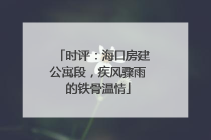 时评：海口房建公寓段，疾风骤雨的铁骨温情