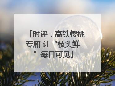 时评：高铁樱桃专厢 让“枝头鲜”每日可见