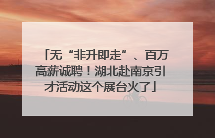 无“非升即走”、百万高薪诚聘！湖北赴南京引才活动这个展台火了