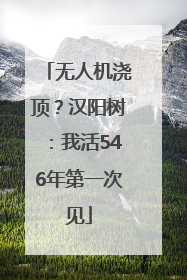 无人机浇顶？汉阳树：我活546年第一次见