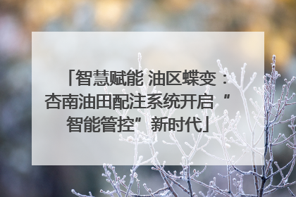 智慧赋能 油区蝶变：杏南油田配注系统开启“智能管控”新时代