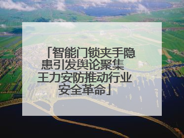 智能门锁夹手隐患引发舆论聚集 王力安防推动行业安全革命