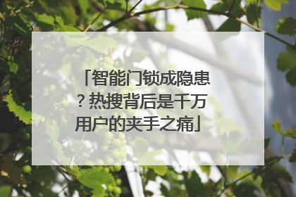 智能门锁成隐患？热搜背后是千万用户的夹手之痛