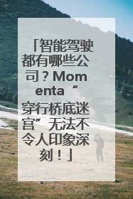 智能驾驶都有哪些公司？Momenta“穿行桥底迷宫”无法不令人印象深刻！