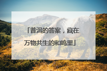 普洱的答案，藏在万物共生的和鸣里