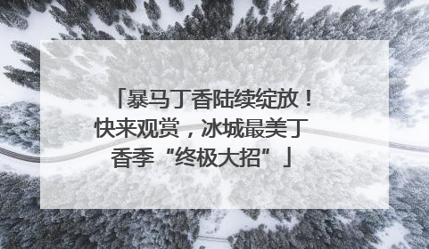 暴马丁香陆续绽放！快来观赏，冰城最美丁香季“终极大招”