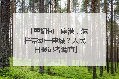曹妃甸一座港，怎样带动一座城？人民日报记者调查