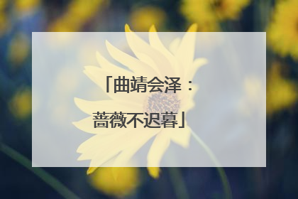 曲靖会泽：蔷薇不迟暮