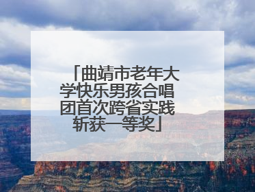 曲靖市老年大学快乐男孩合唱团首次跨省实践斩获一等奖