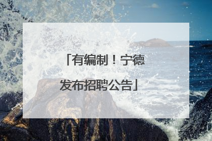 有编制！宁德发布招聘公告