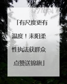 有尺度更有温度！耒阳柔性执法获群众点赞送锦旗