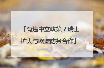 有违中立政策？瑞士扩大与欧盟防务合作
