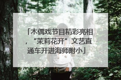 木偶戏节目精彩亮相，“茉莉花开”文艺直通车开进海师附小