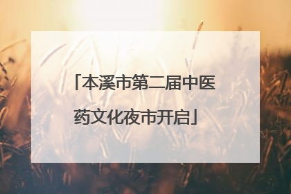本溪市第二届中医药文化夜市开启