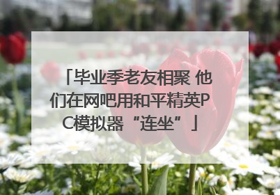 毕业季老友相聚 他们在网吧用和平精英PC模拟器“连坐”
