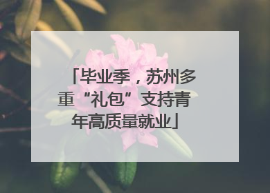 毕业季，苏州多重“礼包”支持青年高质量就业