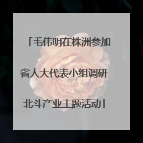 毛伟明在株洲参加省人大代表小组调研北斗产业主题活动