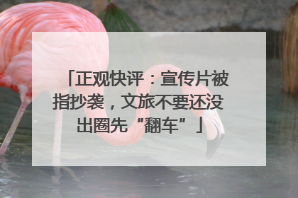 正观快评：宣传片被指抄袭，文旅不要还没出圈先“翻车”