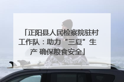 正阳县人民检察院驻村工作队：助力“三夏”生产 确保粮食安全