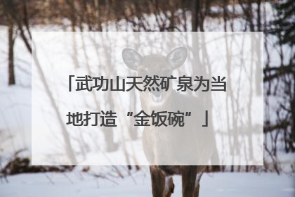 武功山天然矿泉为当地打造“金饭碗”