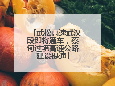 武松高速武汉段即将通车，蔡甸过境高速公路建设提速