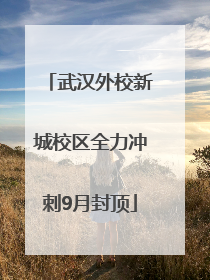 武汉外校新城校区全力冲刺9月封顶