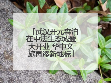 武汉开元森泊在中法生态城盛大开业 华中文旅再添新地标