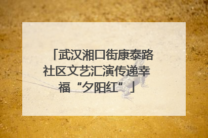 武汉湘口街康泰路社区文艺汇演传递幸福“夕阳红”