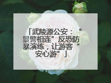 武陵源公安：“景警相连”反恐防暴演练，让游客“安心游”