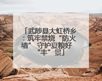 武陟县大虹桥乡：筑牢禁烧“防火墙” 守护夏粮好“丰”景