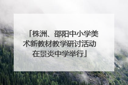 株洲、邵阳中小学美术新教材教学研讨活动在景炎中学举行