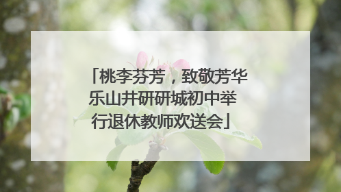 桃李芬芳，致敬芳华 乐山井研研城初中举行退休教师欢送会