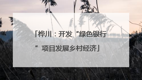 桦川：开发“绿色银行”项目发展乡村经济
