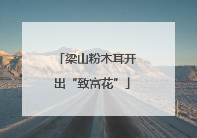 梁山粉木耳开出“致富花”