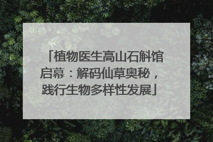 植物医生高山石斛馆启幕：解码仙草奥秘，践行生物多样性发展