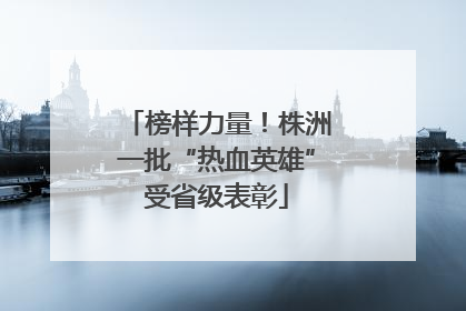 榜样力量！株洲一批“热血英雄”受省级表彰