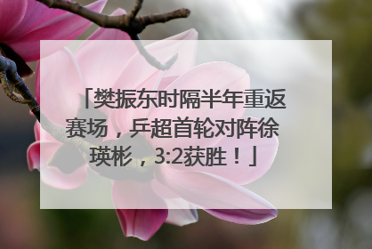 樊振东时隔半年重返赛场，乒超首轮对阵徐瑛彬，3:2获胜！
