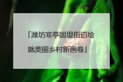潍坊寒亭固堤街道绘就美丽乡村新画卷