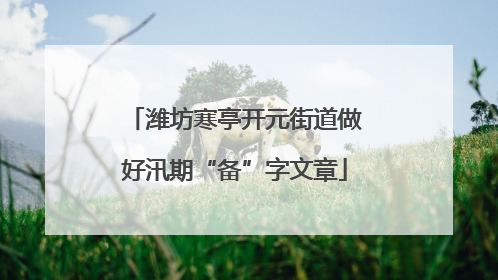 潍坊寒亭开元街道做好汛期“备”字文章