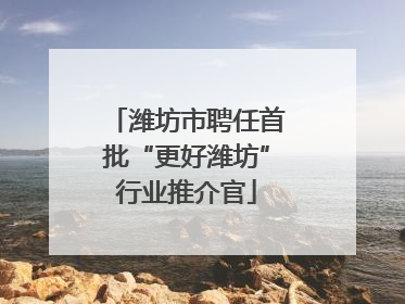 潍坊市聘任首批“更好潍坊”行业推介官