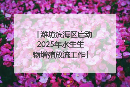 潍坊滨海区启动2025年水生生物增殖放流工作
