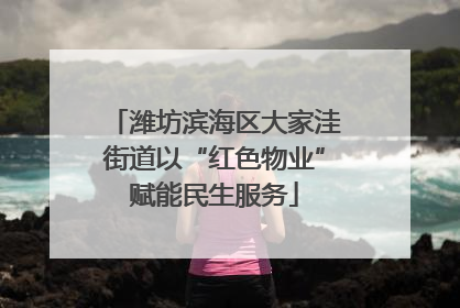 潍坊滨海区大家洼街道以“红色物业”赋能民生服务