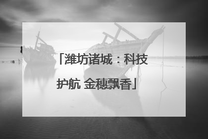 潍坊诸城：科技护航 金穗飘香