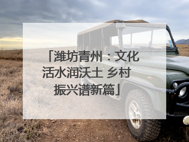 潍坊青州：文化活水润沃土 乡村振兴谱新篇